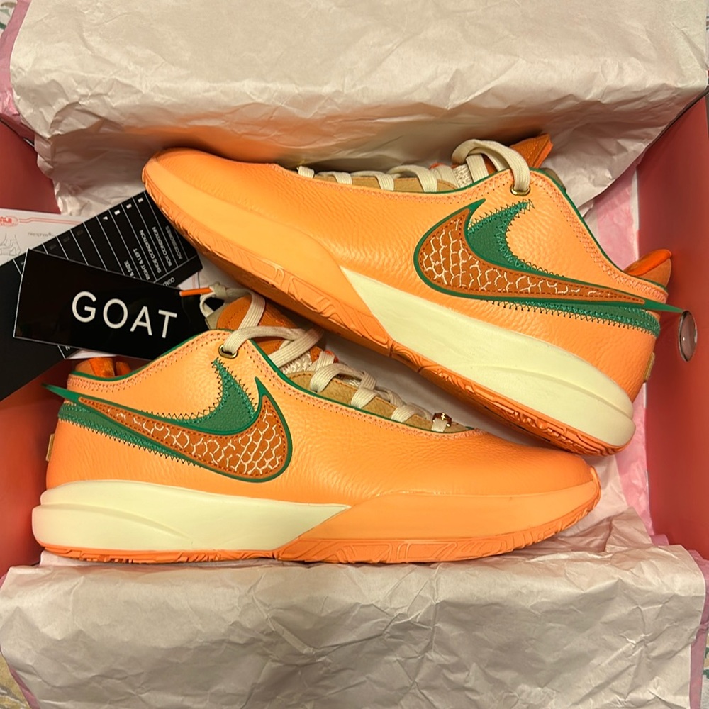 Nike Lebron 20 Florida A & M University X APB Shop “From Tally to the World”